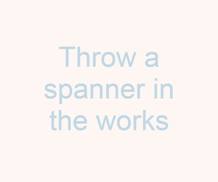 Throw a spanner in the works 